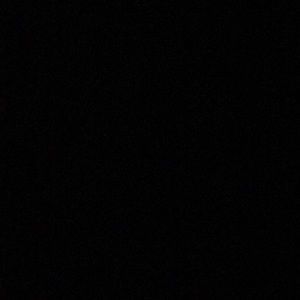 Meet your Posher, Bobby